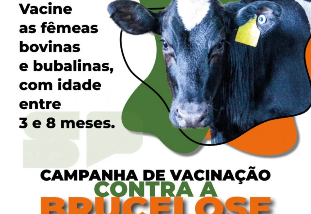 Vacinação obrigatória contra brucelose segue aberta até o fim de junho 