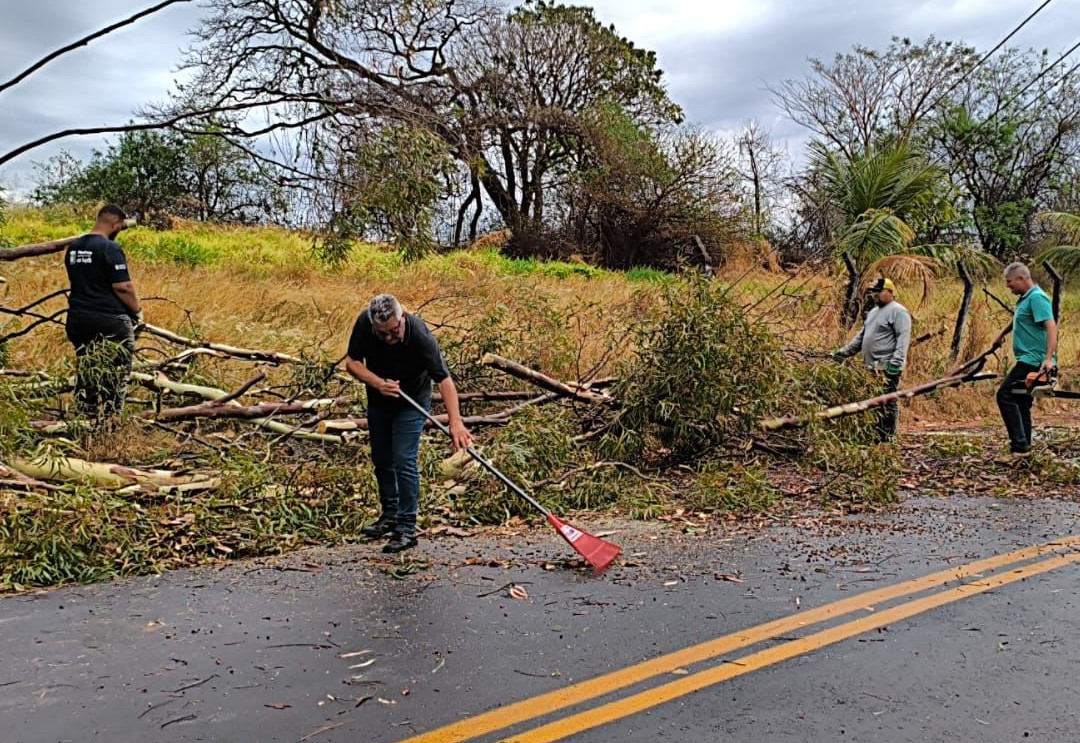 Prefeitura mobiliza grande estrutura para dar pronta resposta a situação provocada por ventania
