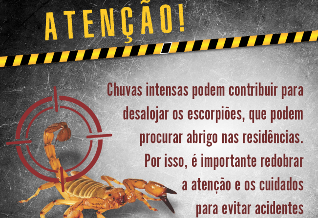 Saúde alerta sobre o possível aparecimento de escorpiões