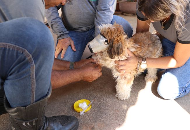 Prefeitura segue com o Censitário Canino na zona leste