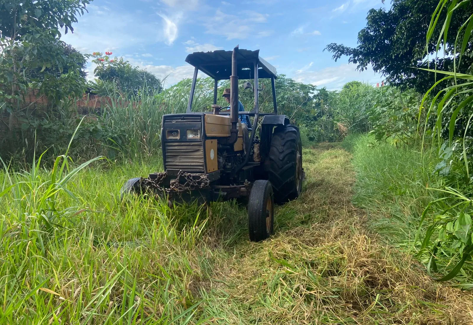 Prefeitura dá sequência à limpeza de terrenos particulares sem manutenção