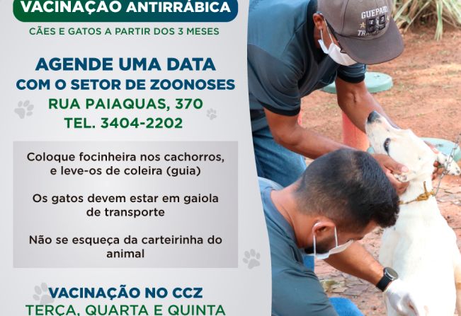 Tupã agenda vacina antirrábica para cães e gatos do município