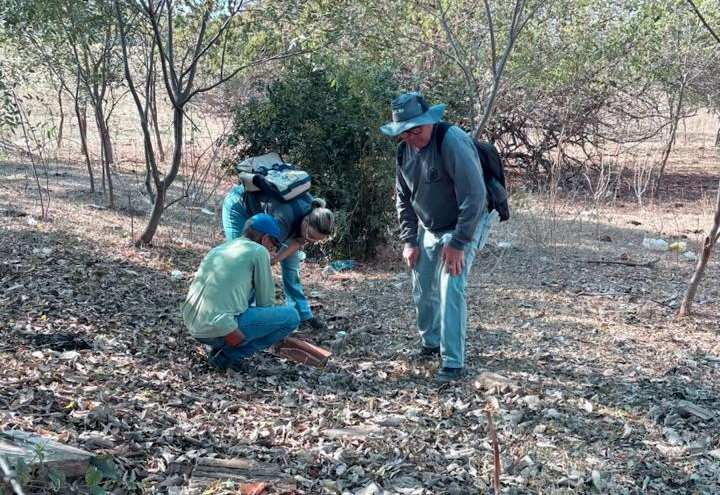 Ação combinada entre secretarias gera captura de centenas de escorpiões