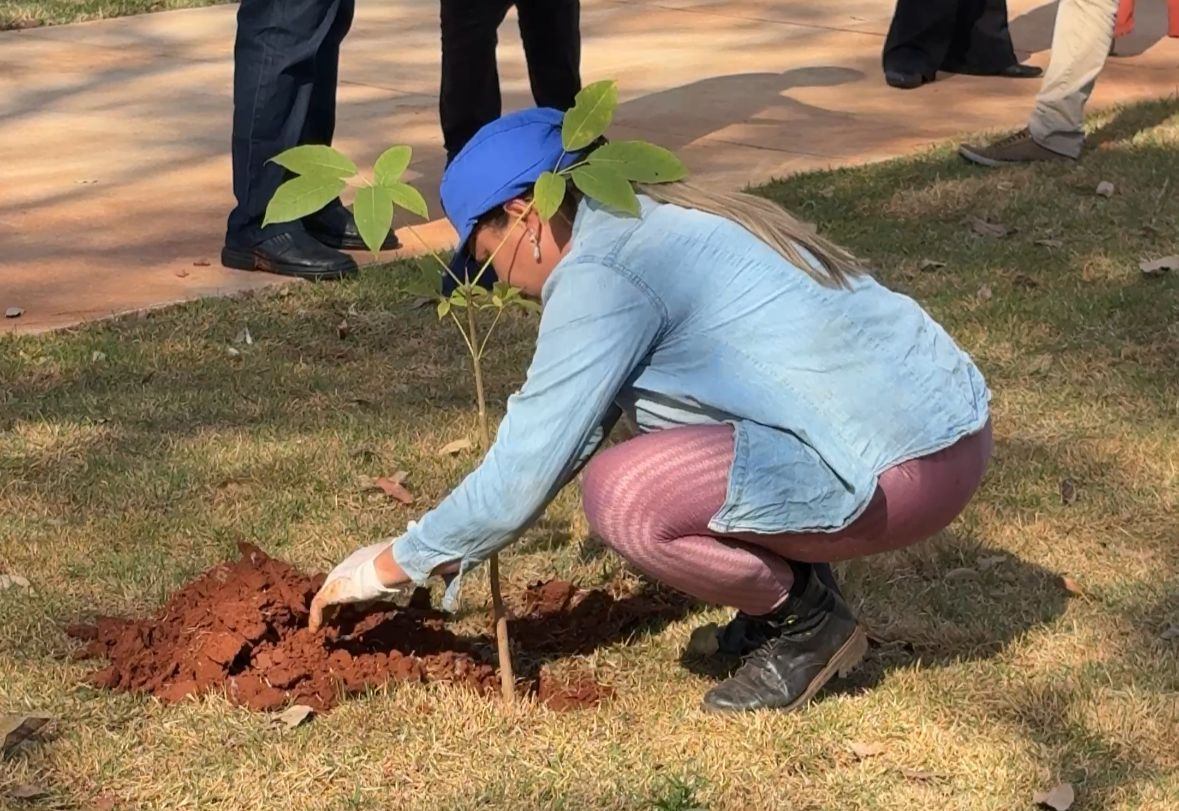 Secretaria de Meio Ambiente realiza plantio de mudas na Praça dos 500 anos
