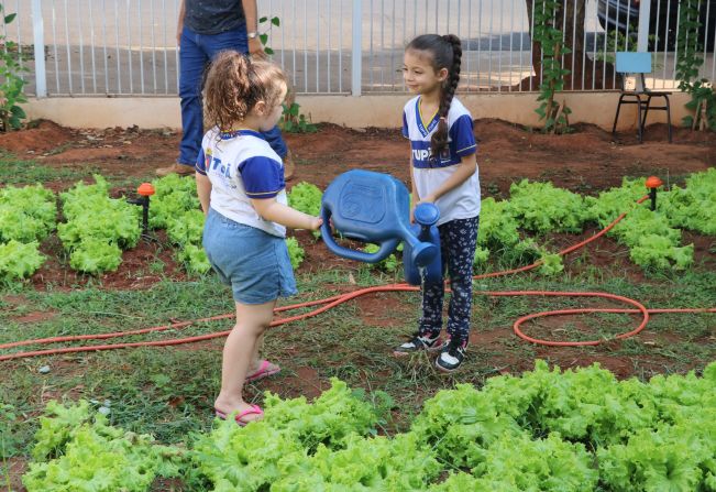 Alunos da rede municipal aprendem por meio de hortas pedagógicas