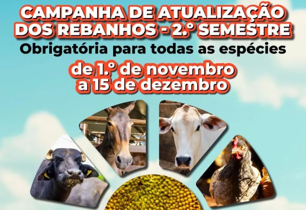 Campanha de atualização do rebanho segue até 15 de dezembro
