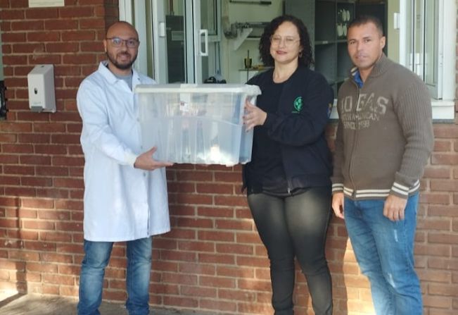 Prefeitura mantém parceria com o Butantan no estudo sobre os escorpiões