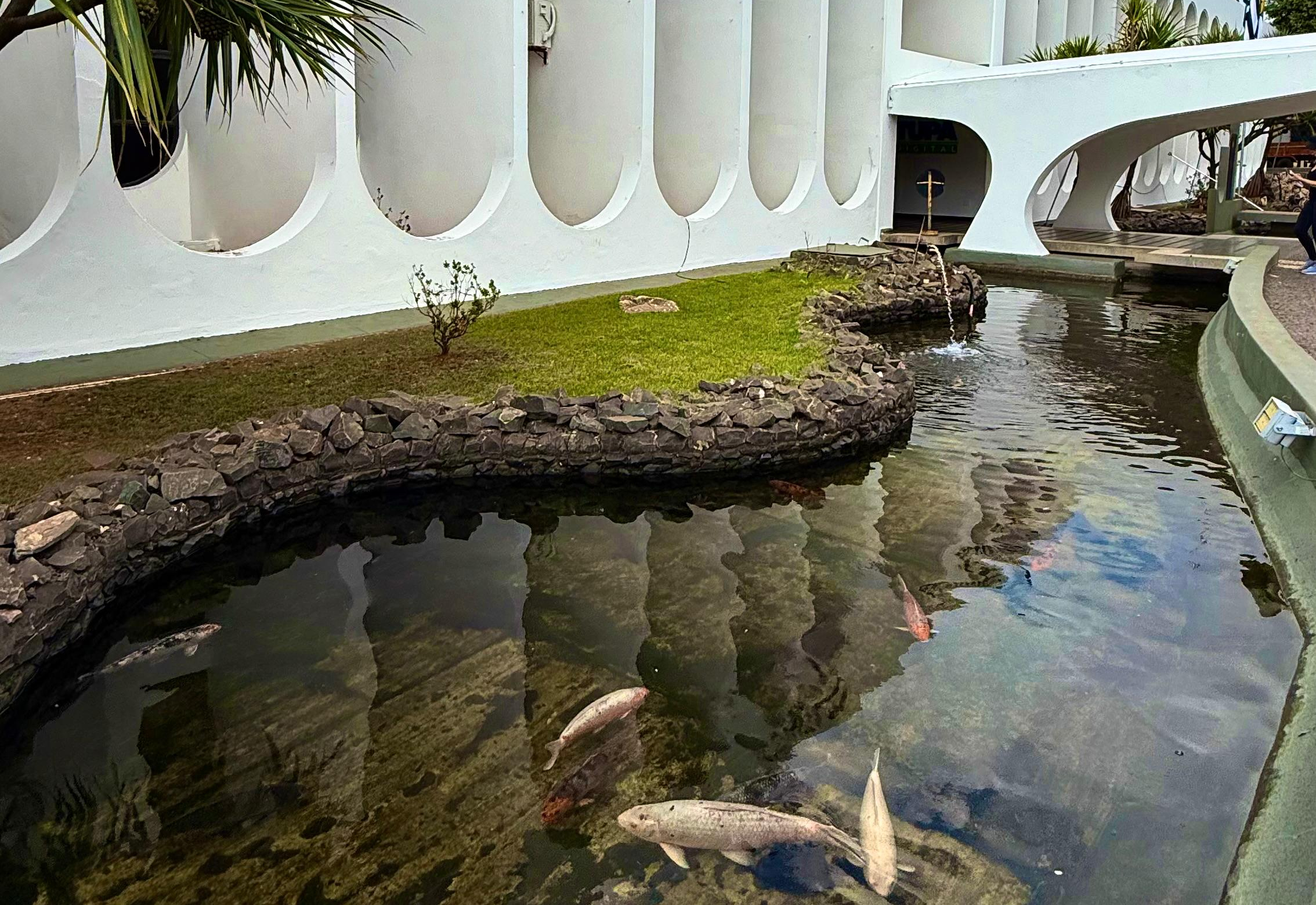 Espelho d’água do Paço Municipal vai ser revestido com pastilhas de porcelana