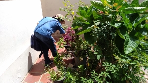 Saúde alerta para os cuidados e prevenção contra a dengue