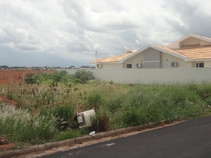 Prefeitura intensifica fiscalização de terrenos particulares que estão irregulares e com mato alto