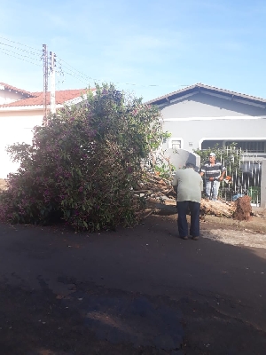 Prefeitura intensifica trabalhos de recuperação dos estragos causados pela chuva