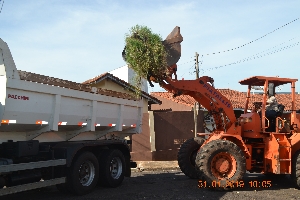 Mutirão de limpeza percorre bairros da zona sul