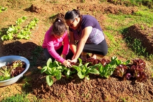 Alunos da rede municipal desenvolvem o projeto Horta Pedagógica