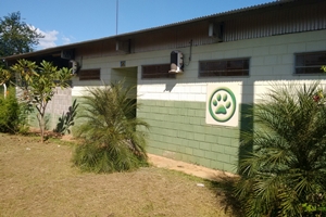 CCZ divulga balanço de 2019