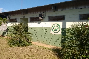 CCZ mantém serviços de rotina com restrições