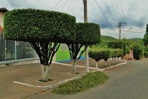 Corte e poda de árvores exige autorização da Prefeitura