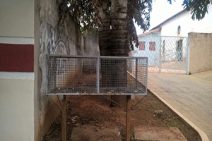 Prefeitura orienta população sobre descarte correto de lixo em dias de chuva