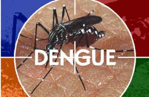 Saúde vem realizando palestra com a população sobre os riscos da dengue