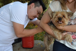 Dia “D” de vacinação imuniza mais de 6 mil animais