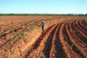 Cuidados com solo ajudam a preservar estradas rurais