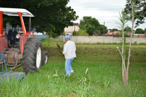 Secretaria realiza diariamente a limpeza de terrenos baldios