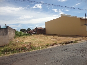 Prefeitura intensifica fiscalização de terrenos para limpeza