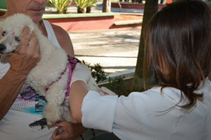 Campanha de Vacinação Antirrábica será realizada no mês de setembro