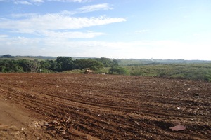 Prefeitura realiza limpeza na estrada do Aeroporto e Aterro do Piva