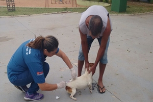 Vacinação Antirrábica imuniza mais de 12 mil animais