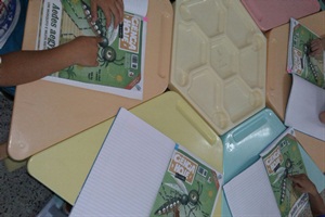 Alunos da rede municipal aprendem a combater mosquito Aedes aegypti