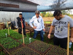 Ricardo acompanha trabalho em setores da Agricultura e Meio Ambiente