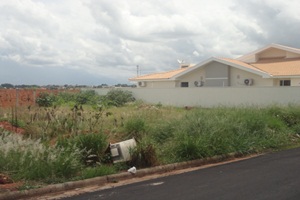 Governo de Tupã vai roçar terrenos particulares com mato alto a partir do dia 19