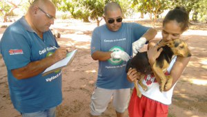 Vacinação Antirrábica já imunizou cerca de 600 cães e gatos