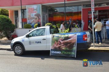 Foto - Entrega de mudas - Dia Nacional da Árvore