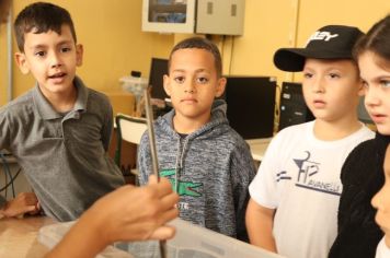 Foto - Zoonoses palestra em escolas para prevenção de acidentes com escorpiões