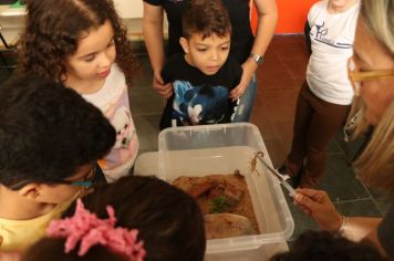 Foto - Zoonoses palestra em escolas para prevenção de acidentes com escorpiões