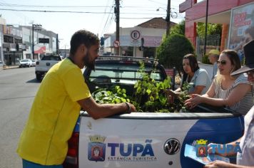 Foto - Entrega de mudas - Dia Nacional da Árvore