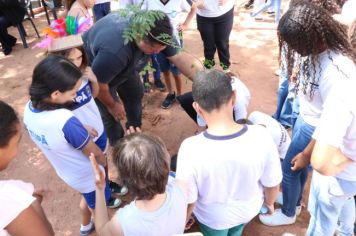 Foto - Homenagem a Luiz de Souza Leão