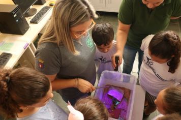 Foto - Zoonoses palestra em escolas para prevenção de acidentes com escorpiões