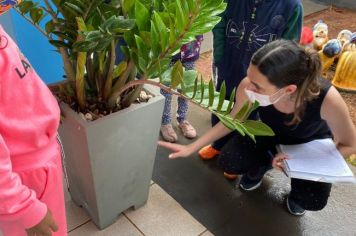 Foto - Tupã realiza campanha contra a dengue com os 4 mil alunos da rede municipal