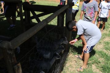 Foto - Passeio no Eco Thermas - Rede Municipal