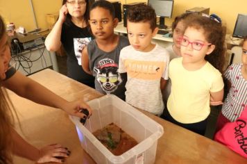 Foto - Zoonoses palestra em escolas para prevenção de acidentes com escorpiões