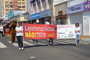 Foto - Tupã;* 85 anos;* desfile Avenida Tamoios - PARTE 2