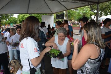 Foto - Tupã Criança