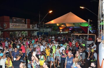 Foto - Tupã Folia - 2ª noite