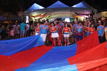 Foto - Tupã Folia 2014