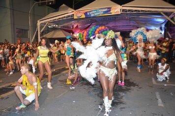 Foto - Tupã Folia 2014