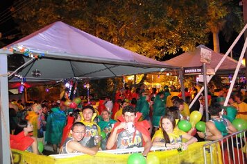 Foto - Tupã Folia 2014