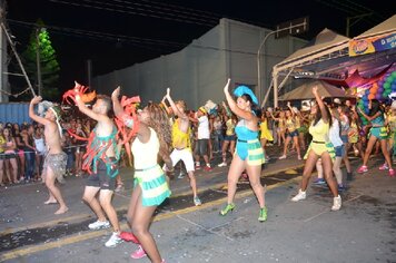 Foto - Tupã Folia 2014