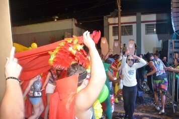 Foto - Tupã Folia 2014